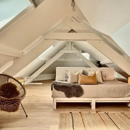Cosy 3*