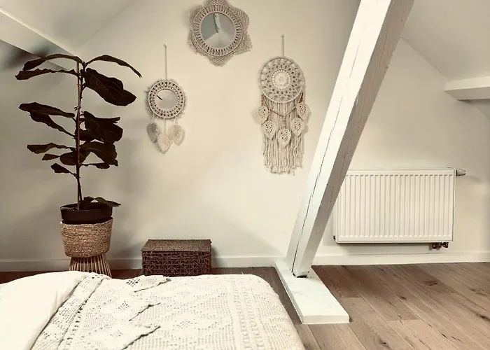 Cosy Bed & Breakfast 3*