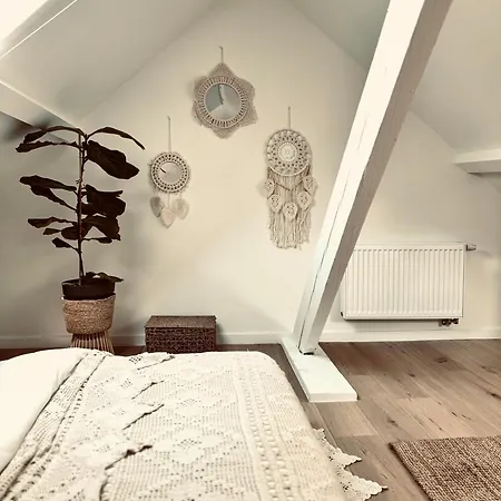 Cosy Bed and Breakfast 3*